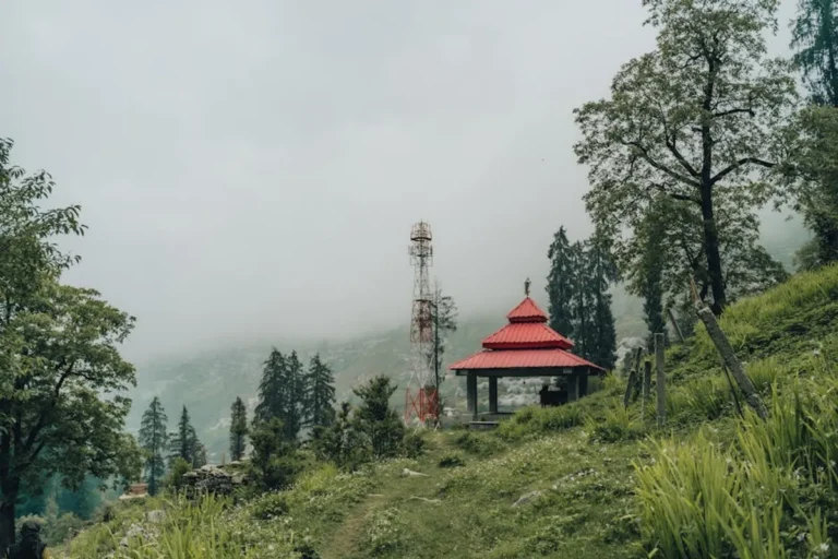 Jibhi: Complete Travel Guide, Tips, Places, and Details