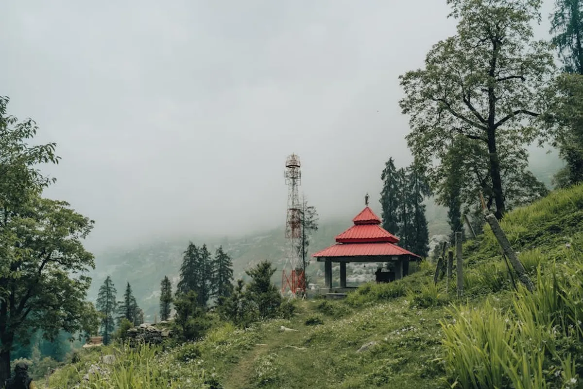 Jibhi: Complete Travel Guide, Tips, Places, and Details