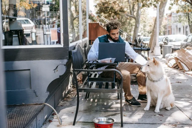 The pet-focused search intent behind lapzoo.com, explained